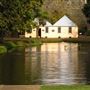 Salmon Ponds
