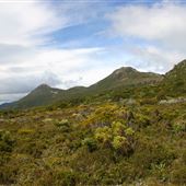 Hartz Mountains National Park