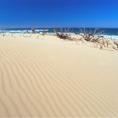 Henty Dunes - West Coast