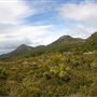 Hartz Mountains National Park