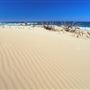 Henty Dunes - West Coast