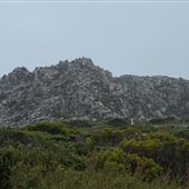 Summit - Mt Barrow