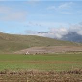 Cressy area