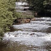 Arve River