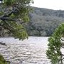 Mount Field - lakes