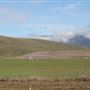 Cressy area