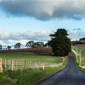 Don Heads Road