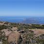 kunanyi/Mount Wellington