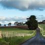 Don Heads Road