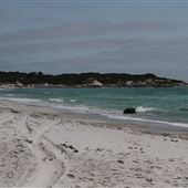 Mt William National Park - beaches and lagoons