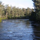 Huon Valley - Rivers