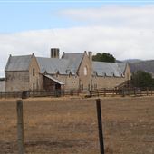 Shene Stables