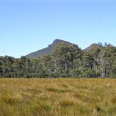 Mt King William