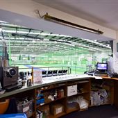 The Cricket Hub, Indoor Cricket Centre at the Kingborough Sports Centre