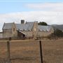 Shene Stables