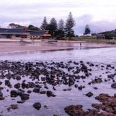 Devonport Bluff