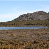 Pine Lake