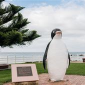 Penguin Foreshore