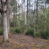 Garden Island Creek