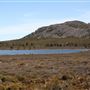 Pine Lake