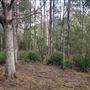 Garden Island Creek